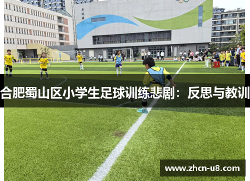 合肥蜀山区小学生足球训练悲剧：反思与教训