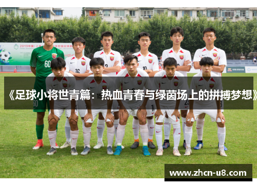 《足球小将世青篇：热血青春与绿茵场上的拼搏梦想》