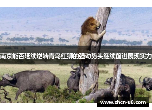 南京能否延续逆转青岛红狮的强劲势头继续前进展现实力